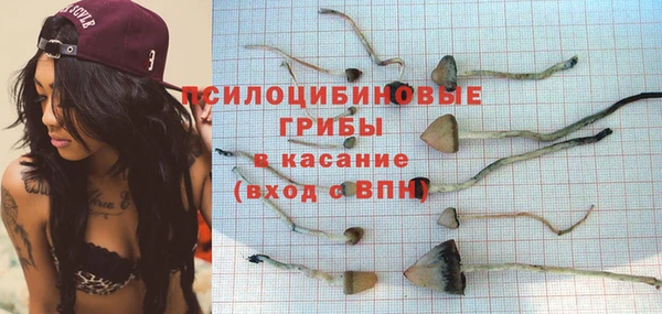 2c-b Богданович