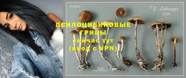2c-b Богданович