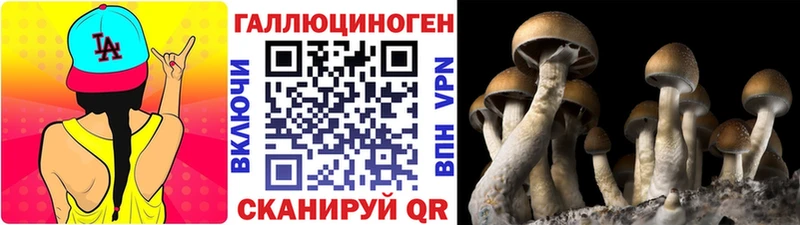 Псилоцибиновые грибы мицелий  хочу   Костомукша 